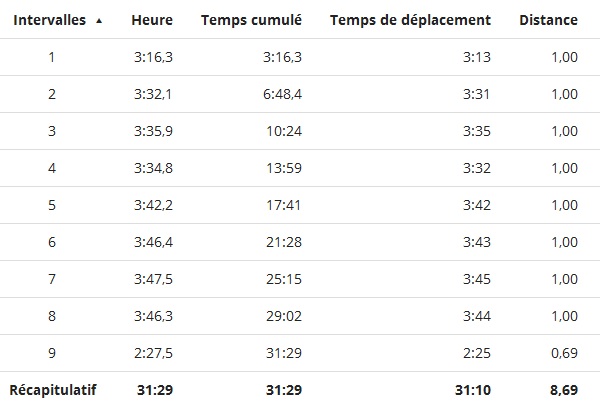 course_corrida_de_la_saint_sylvestre_2015_intervalles