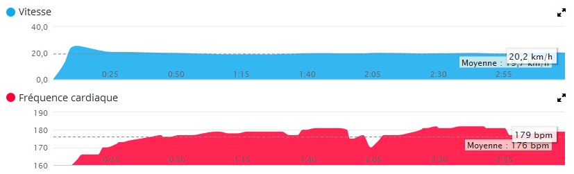 course_corrida_de_la_saint_sylvestre_2015_graphique